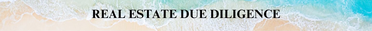 Due Diligence